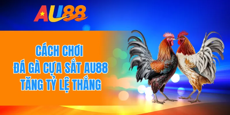 Cách chơi đá gà cựa sắt AU88 tăng tỷ lệ thắng