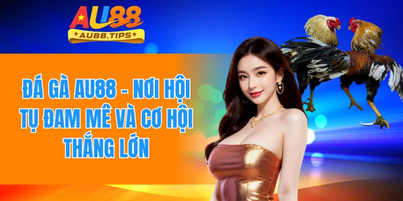 Đá Gà Au88 – Nơi Hội Tụ Đam Mê Và Cơ Hội Thắng Lớn
