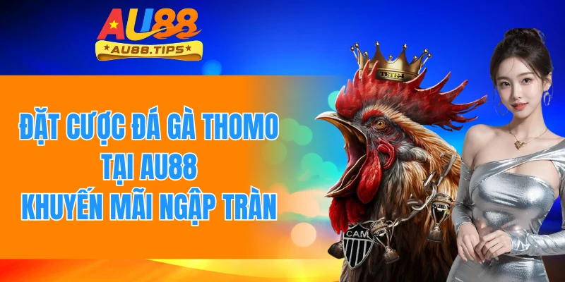 Đá Gà Thomo