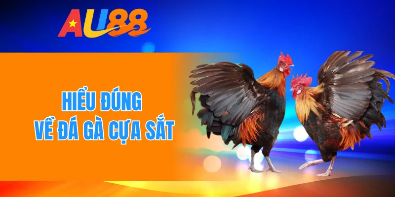 Hiểu đúng về đá gà cựa sắt