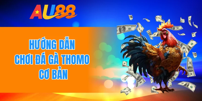 Hướng dẫn chơi đá gà Thomo cơ bản