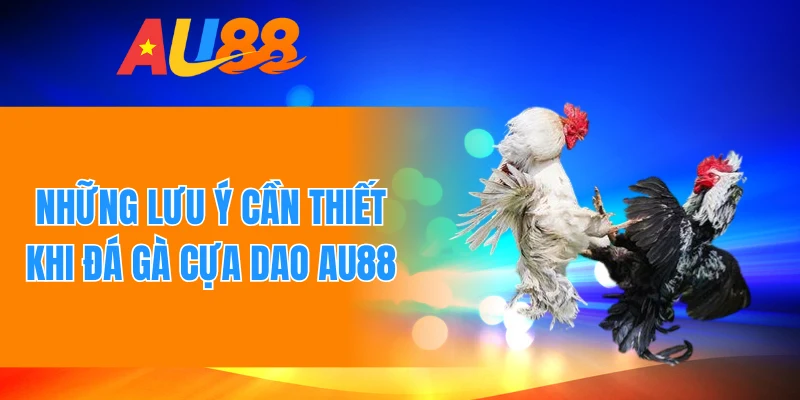 Những lưu ý cần thiết khi đá gà cựa dao AU88