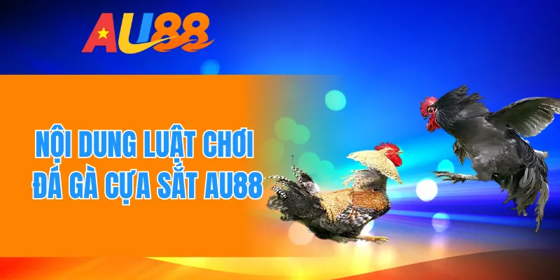 Nội dung luật chơi đá gà cựa sắt AU88